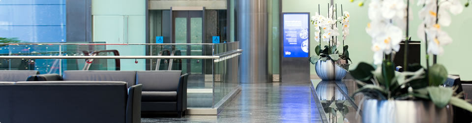 office-plants-carousel-uk-1